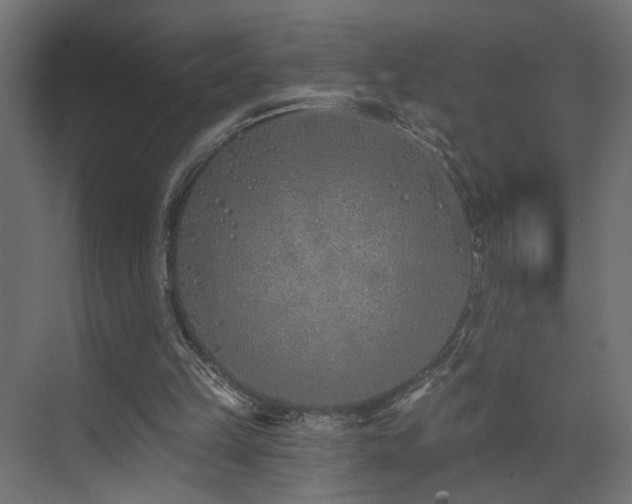 X0000073480149200607311209