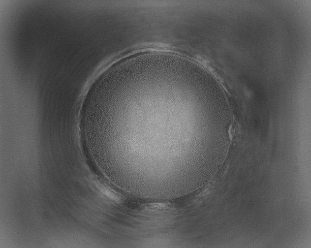 X0000073480151200607311209