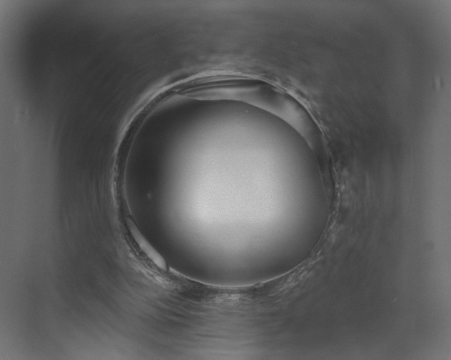 X0000073480152200607311209