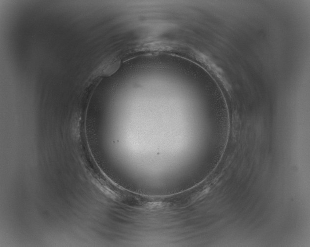 X0000073480153200607311209