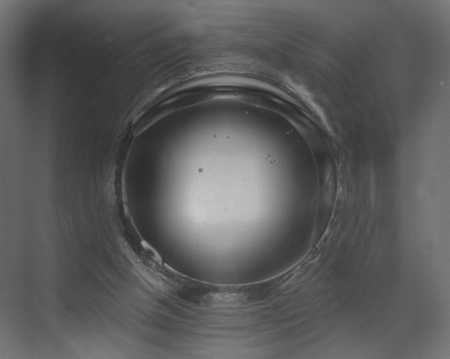 X0000073480154200607311209