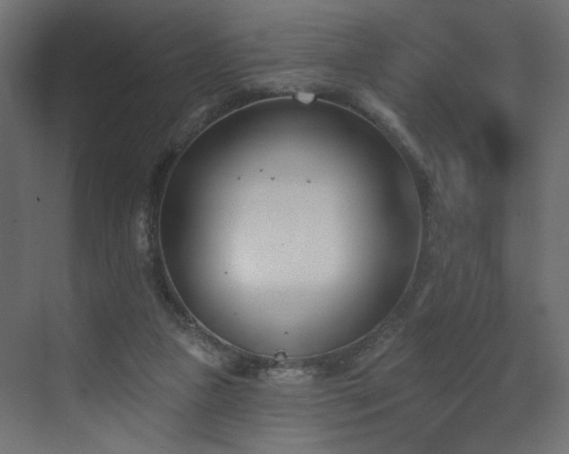 X0000073480161200607311209