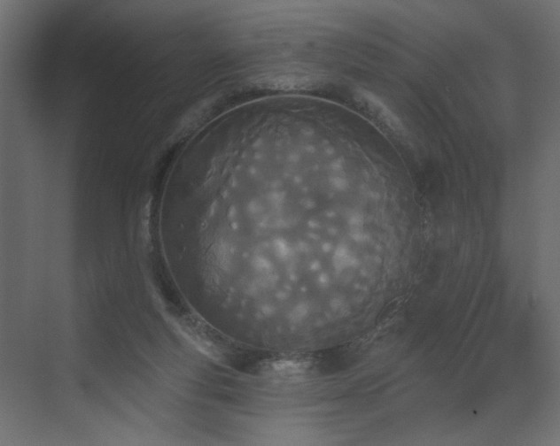 X0000073480163200607311209