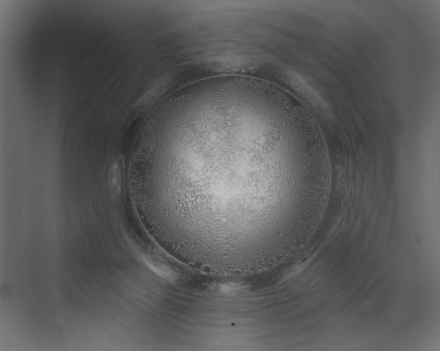 X0000073480165200607311209