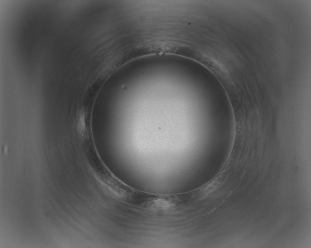 X0000073480166200607311210