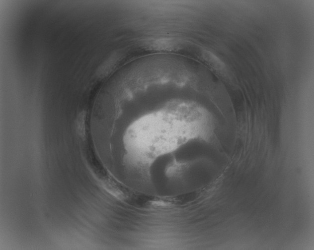 X0000073480167200607311210