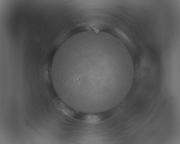 X0000073480169200607311210