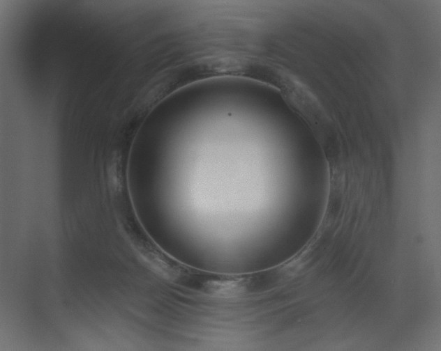 X0000073480170200607311210