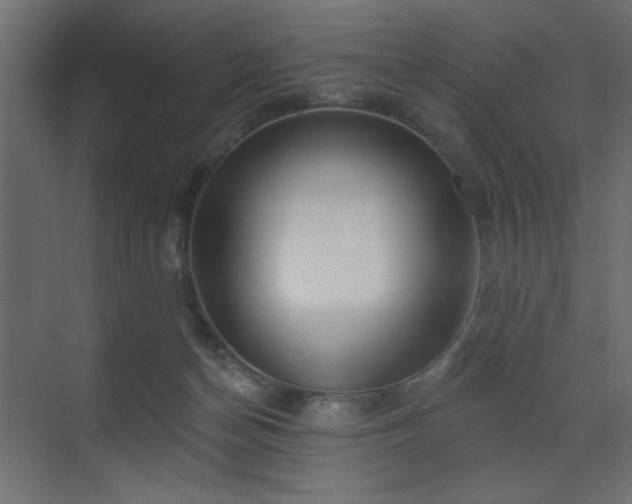 X0000073480174200607311210