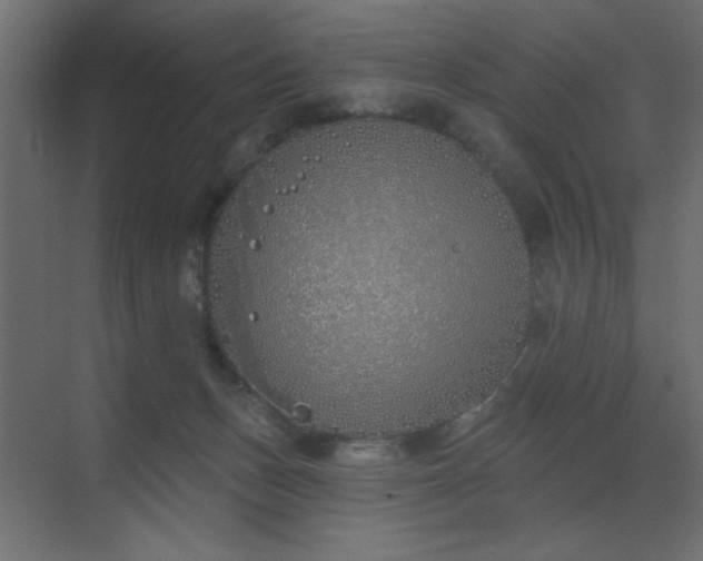 X0000073480175200607311210