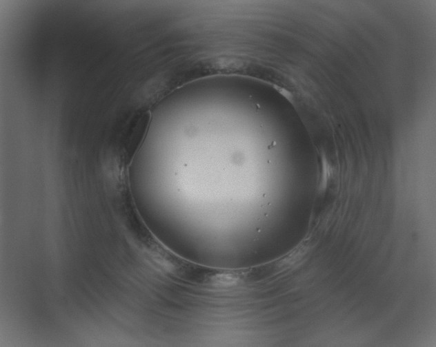 X0000073480176200607311210