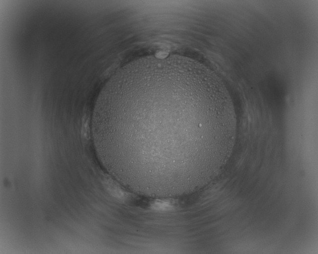 X0000073480177200607311210