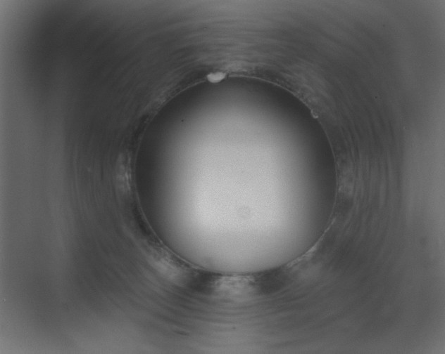 X0000073480179200607311210