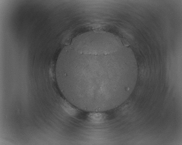 X0000073480181200607311210