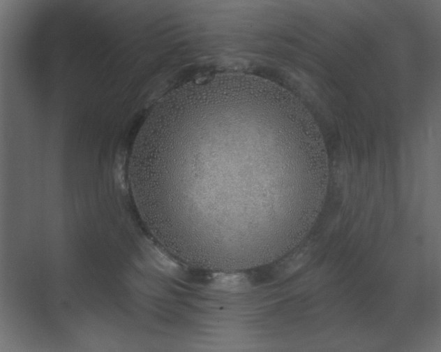 X0000073480185200607311210