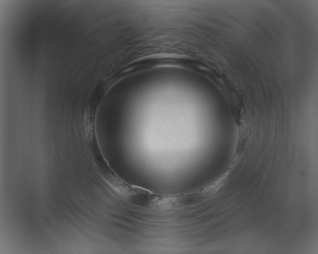 X0000073480186200607311210