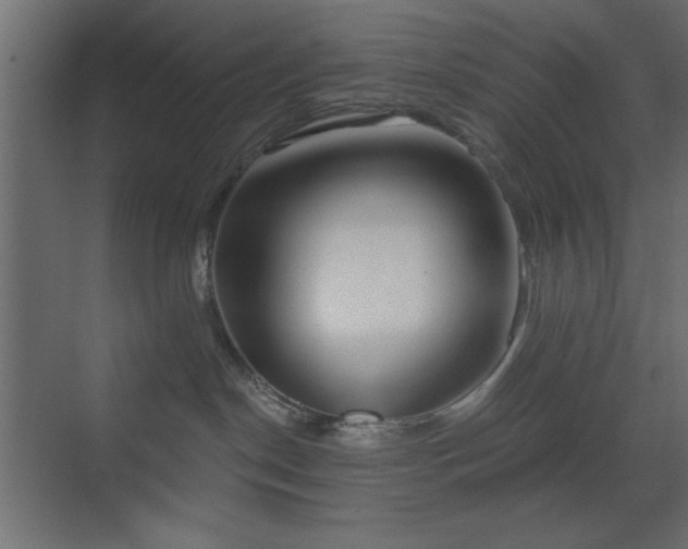 X0000073480190200607311210