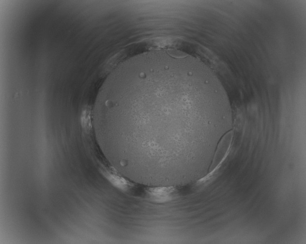 X0000073480191200607311210