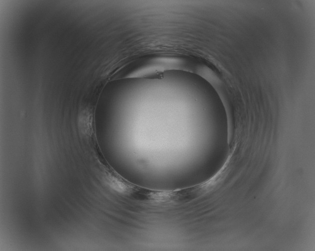 X0000073480192200607311210