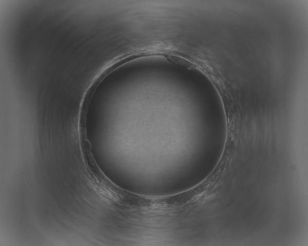 X0000073480196200607311209