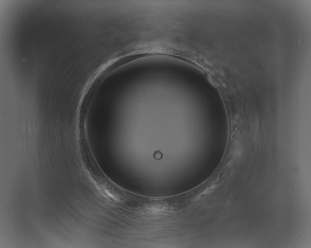 X0000073480200200607311209