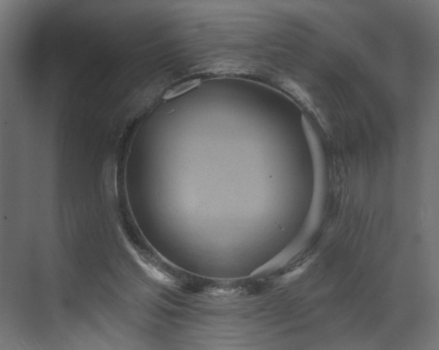 X0000073480205200607311209