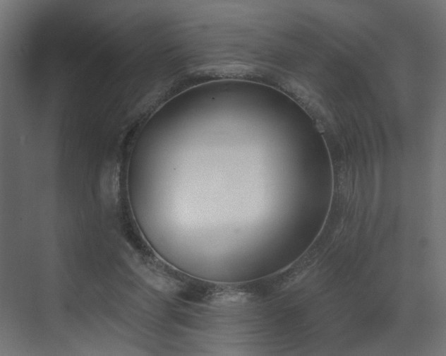 X0000073480206200607311209