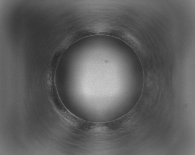 X0000073480210200607311209