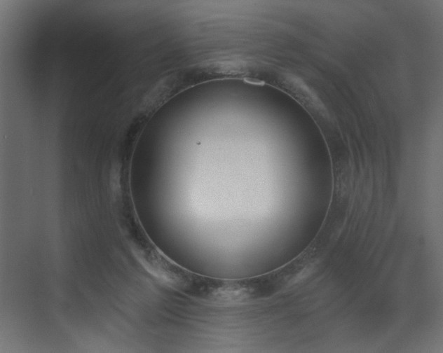 X0000073480213200607311209