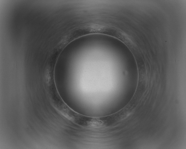 X0000073480215200607311209