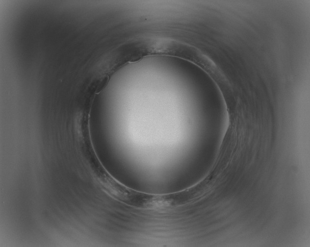 X0000073480217200607311209