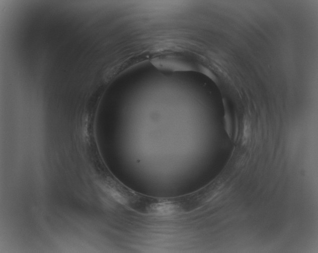 X0000073480219200607311209