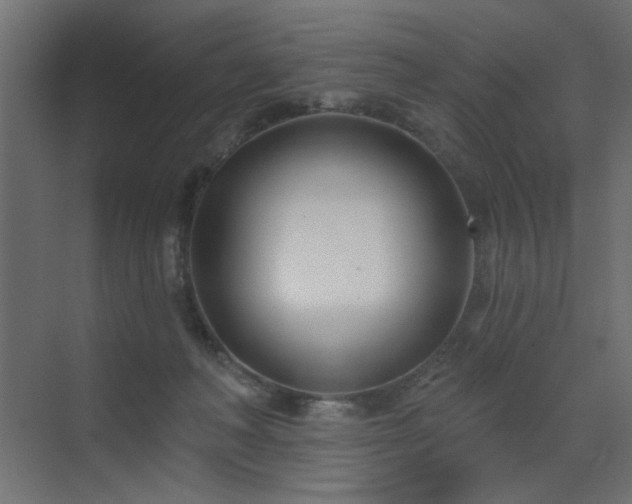 X0000073480222200607311209