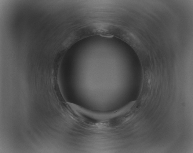 X0000073480223200607311209