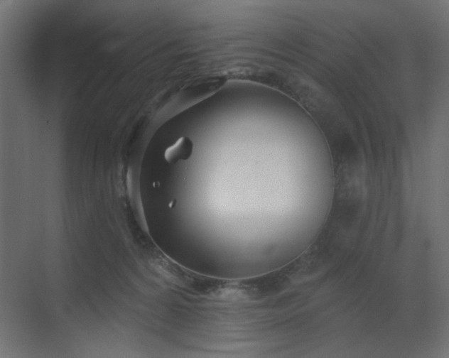 X0000073480224200607311209