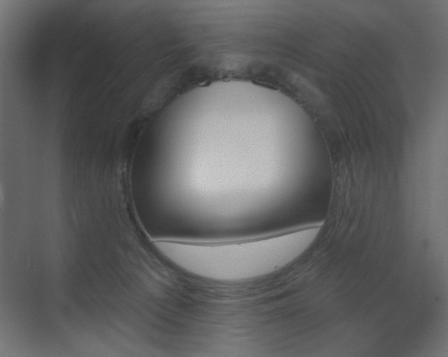 X0000073480225200607311209