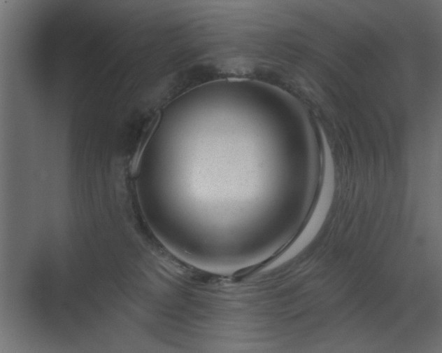 X0000073480229200607311209