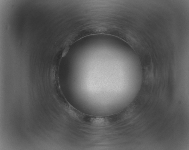 X0000073480230200607311209