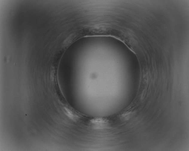 X0000073480231200607311209