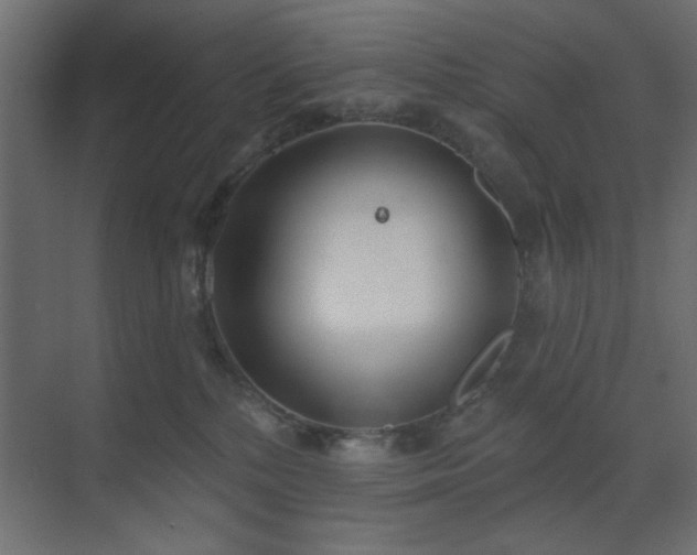 X0000073480232200607311208