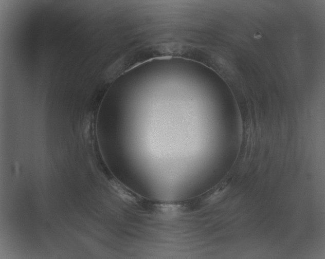 X0000073480233200607311208