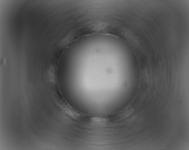 X0000073480234200607311208