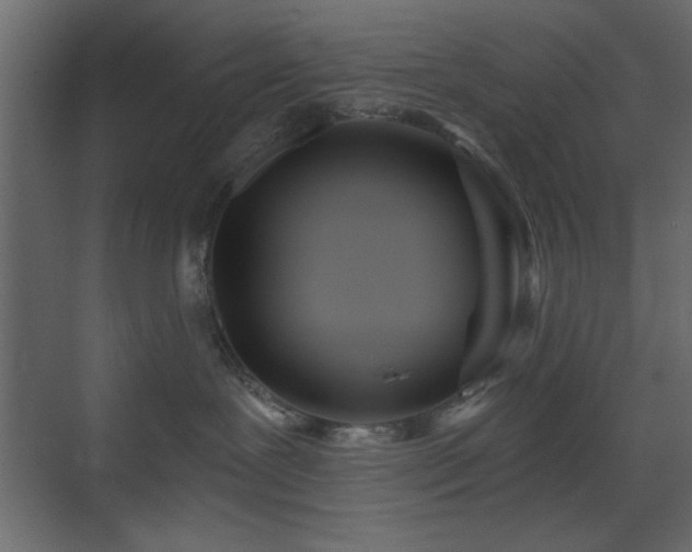 X0000073480239200607311208