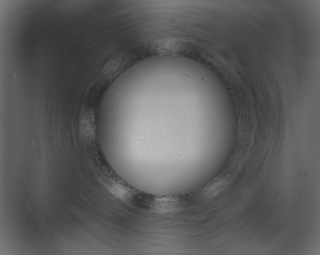 X0000073480240200607311208