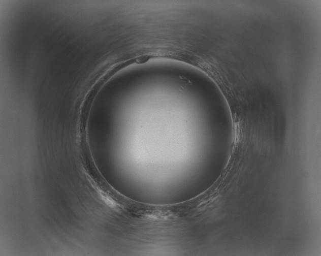 X0000073480243200607311208