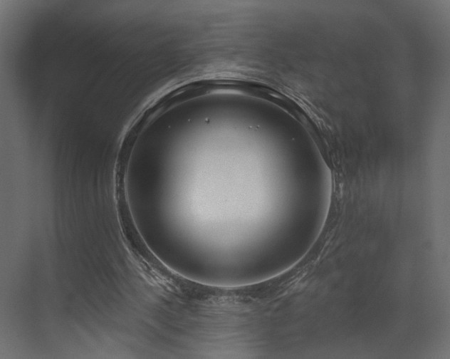 X0000073480244200607311208