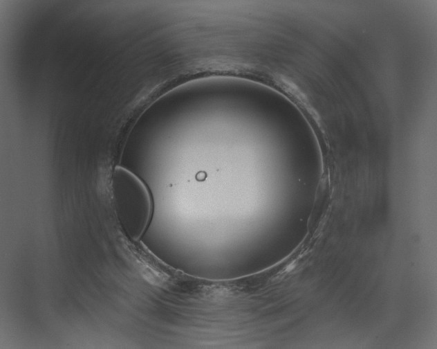 X0000073480249200607311208