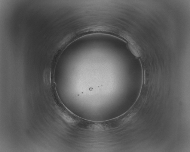 X0000073480253200607311208