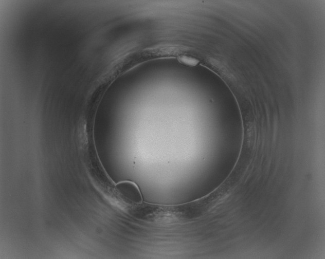 X0000073480254200607311208