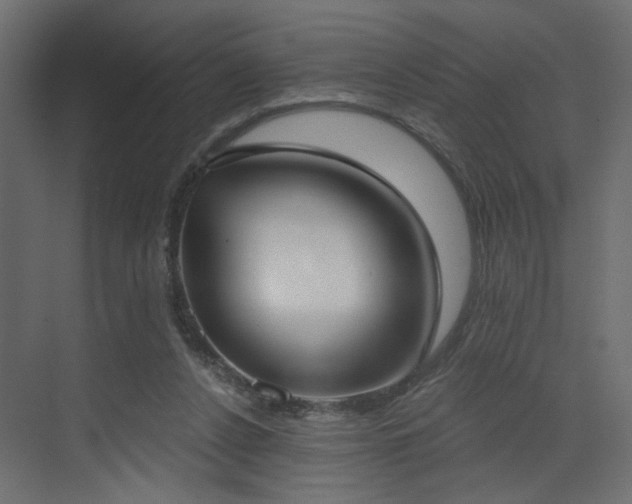 X0000073480256200607311208